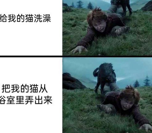 原来国际足联一直在编足球人口数据？