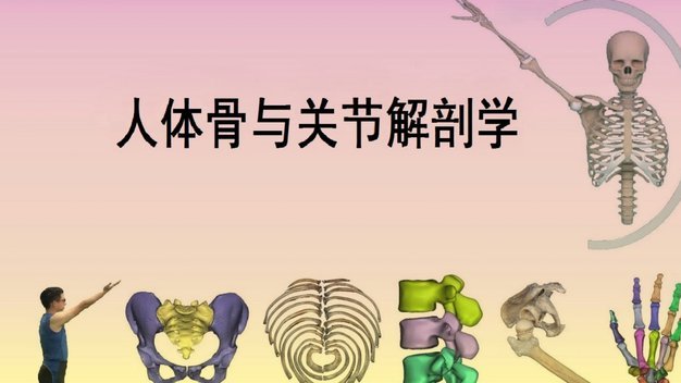 董路为何从支持骨龄检测到质疑其科学性