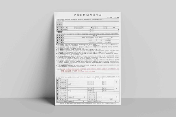 梅西离队令阿根廷难复旧日，帕雷德斯直言亦难再留队